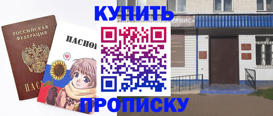 прописка в Борзе